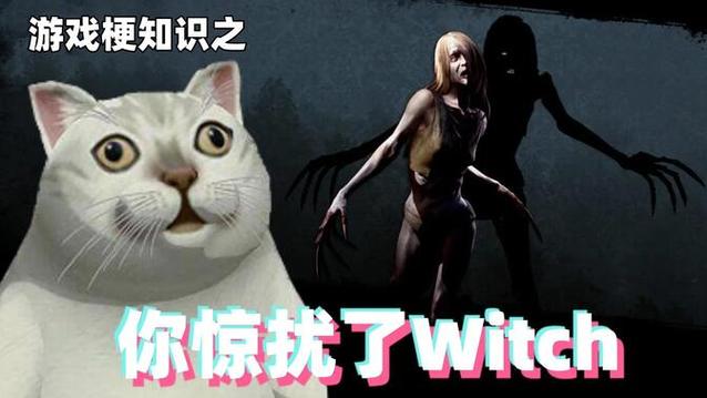 你惊扰了witch