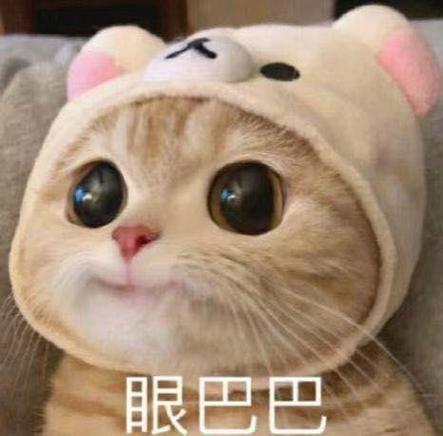 喵喵的读音