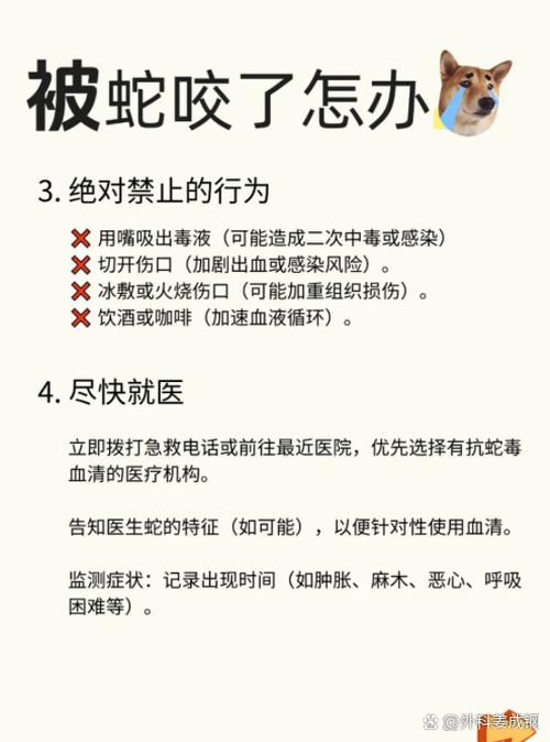 饥荒被蛇咬了怎么解毒