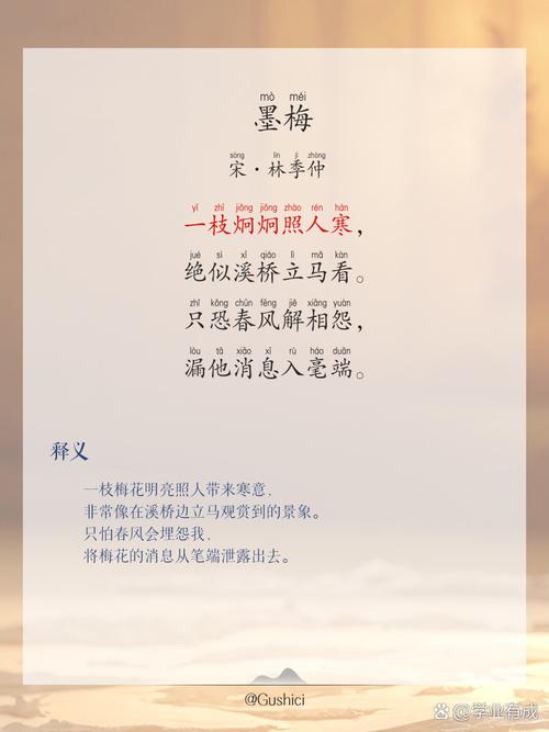 有种你试试by寒香墨梅讲的什么