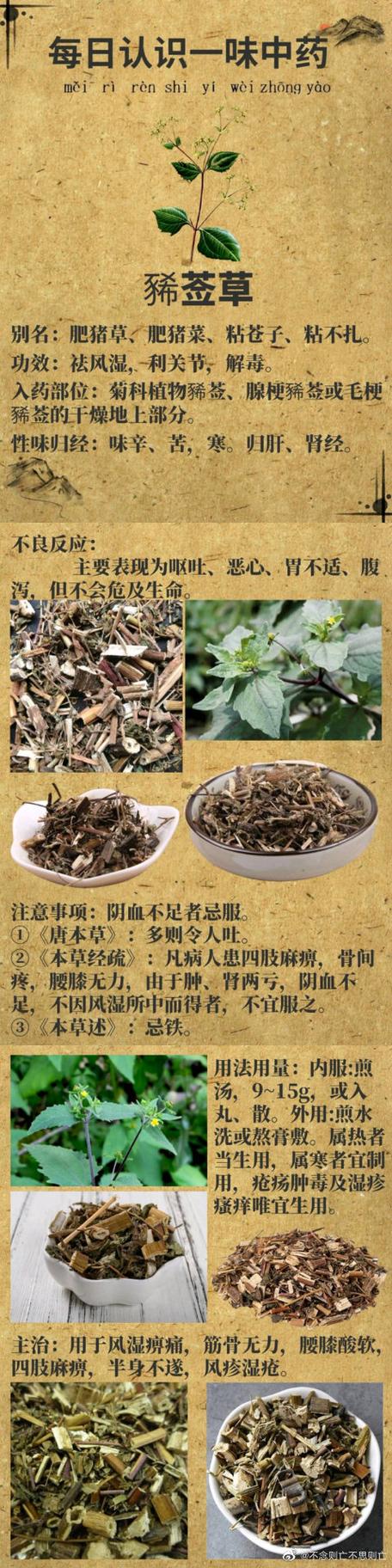 豨莶草的神奇功效