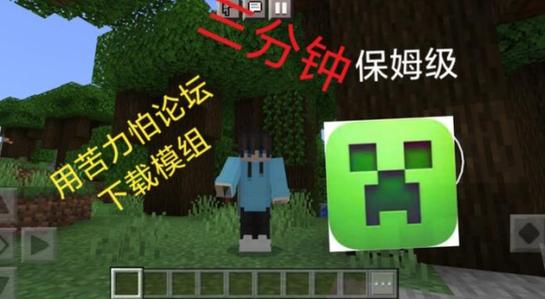 苦力怕论坛!
