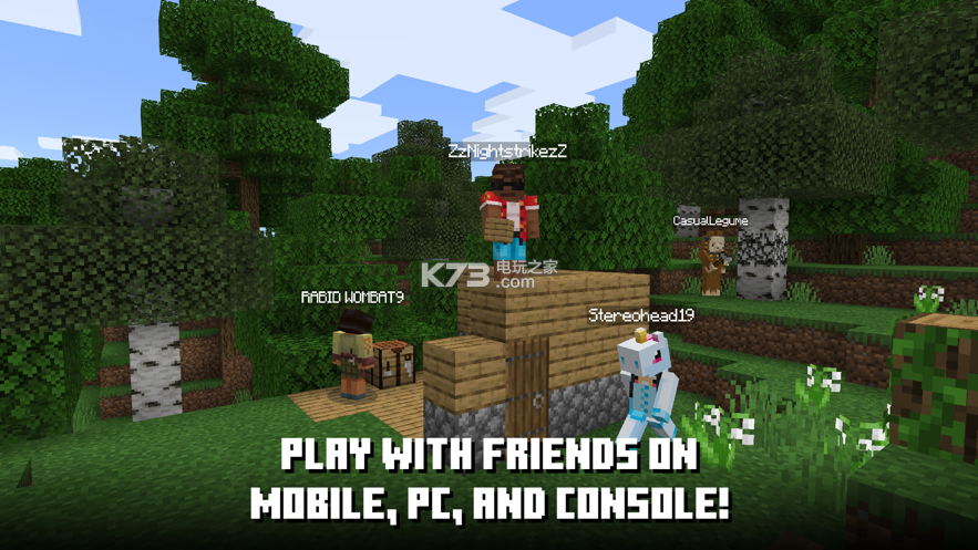 iOS免费下Minecraft截图3
