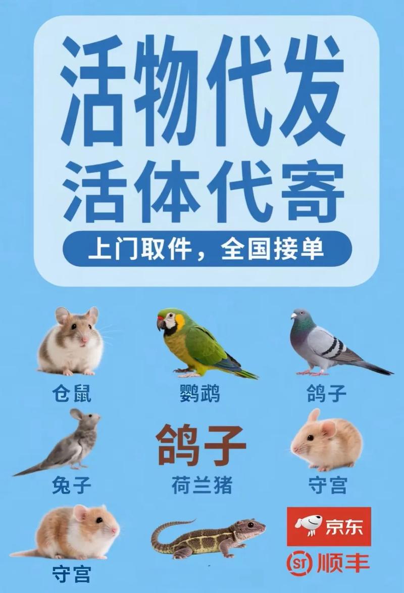 顺丰快递能不能寄乌龟