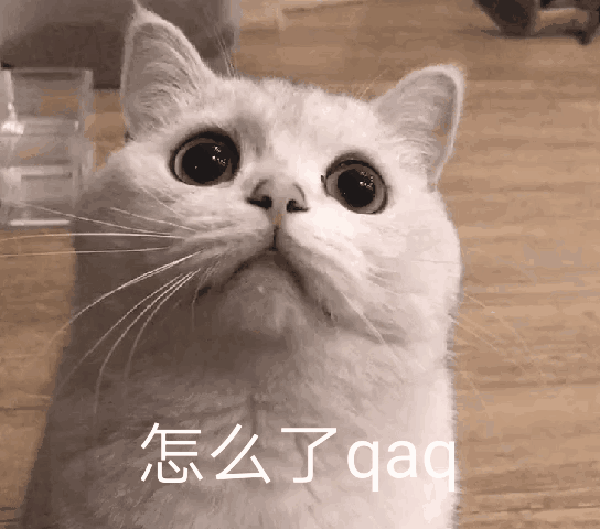 qaq表情包
