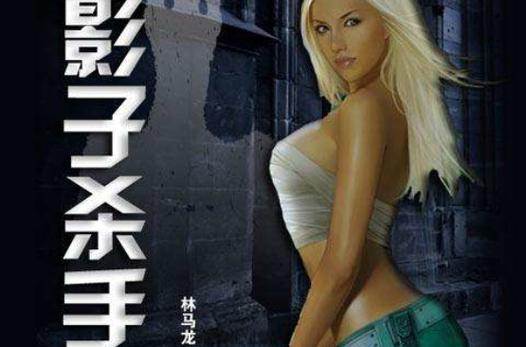 有一部电视剧里面有个杀手叫影子