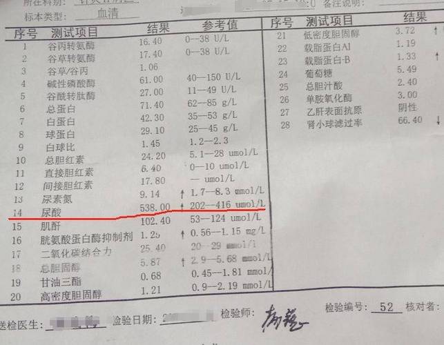 体检报告单图片截图3