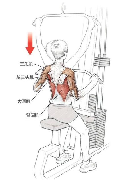 下拉锻炼什么肌肉