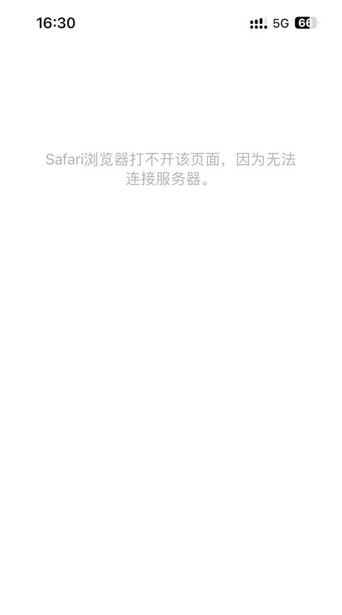 苹果手机自带浏览器打不开怎么回事