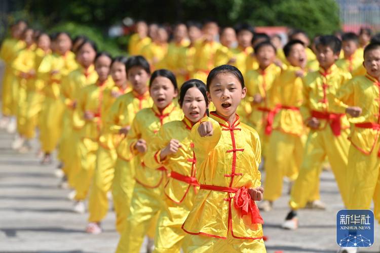 小学生的麒麟拳视频