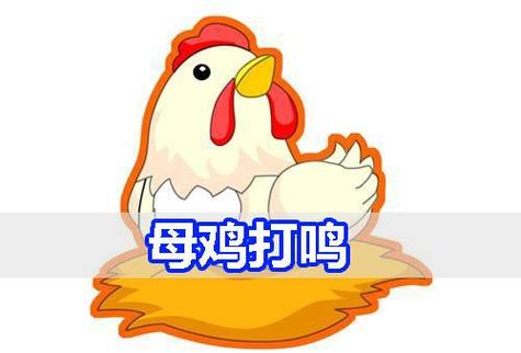 母鸡打鸣怎么化解 母鸡打鸣怎么化解