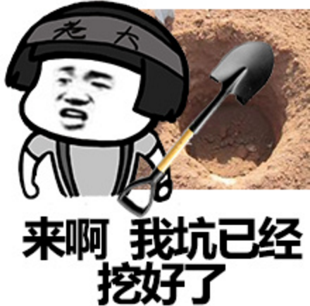 带我入坑是什么意思啊