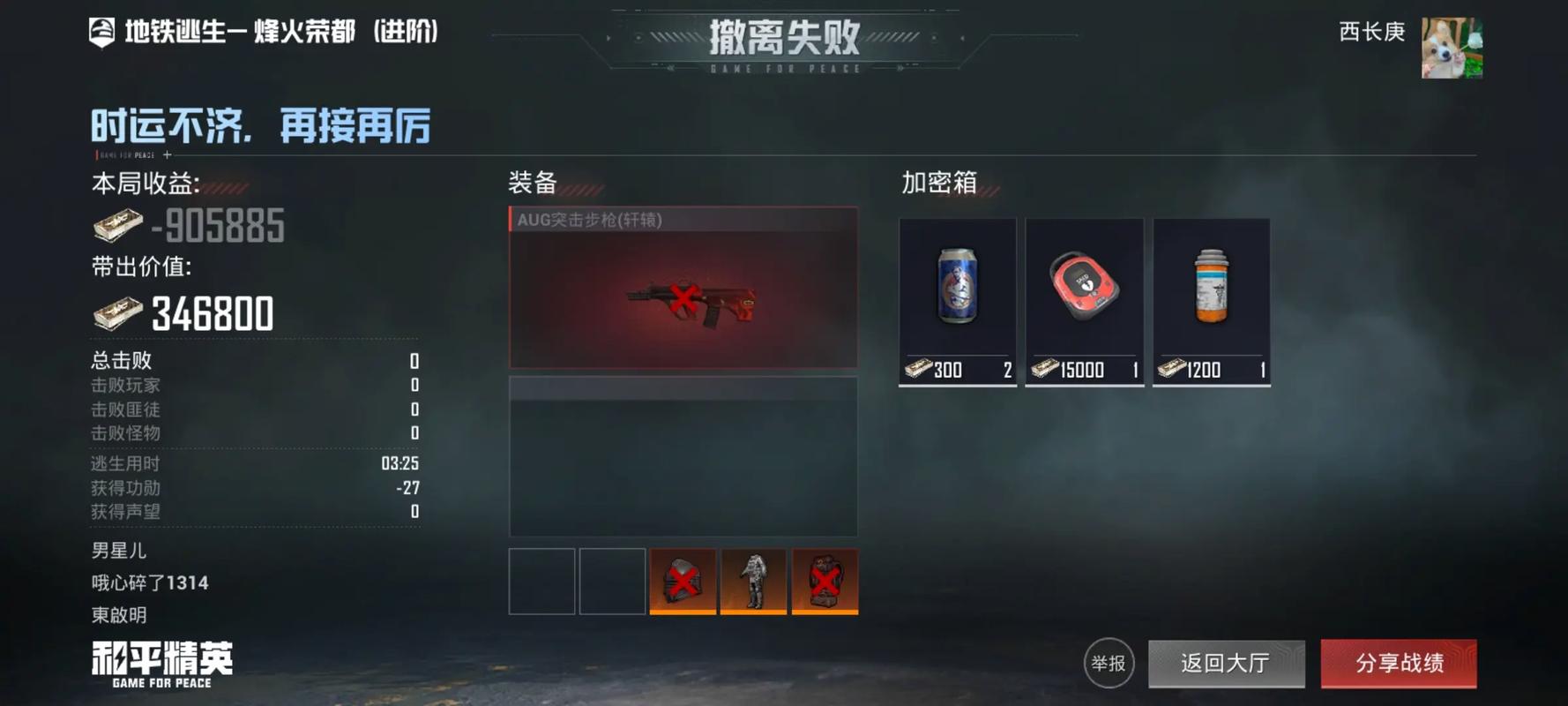 和平精英浮殇辅助