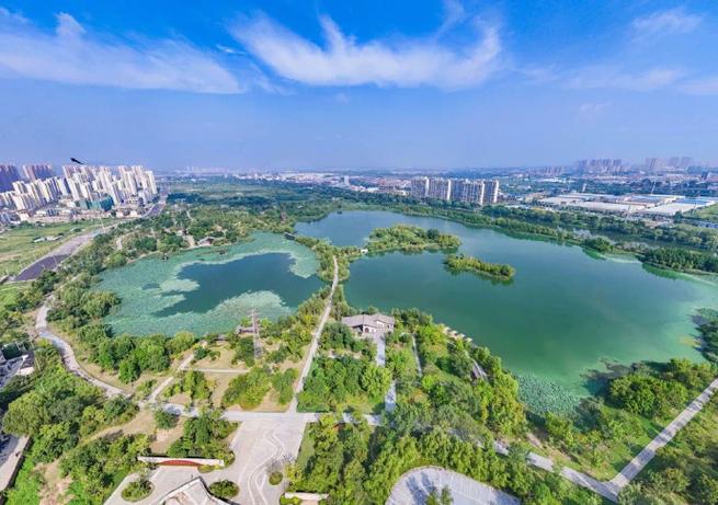 白云中央湿地公园桃花园