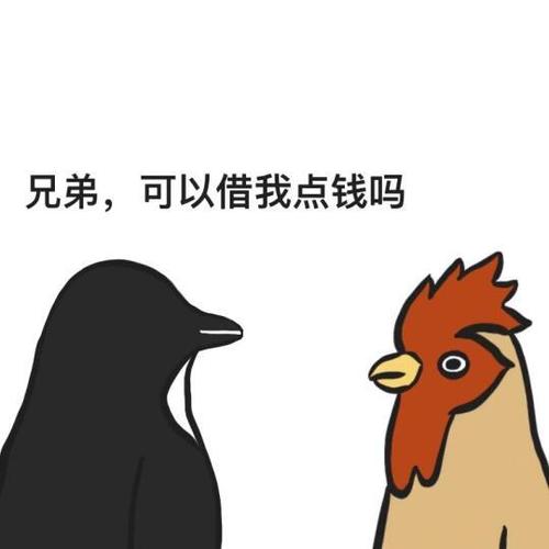 速借钱包截图2