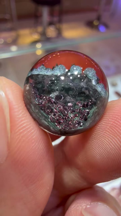 红绿幽灵共生的功效与作用
