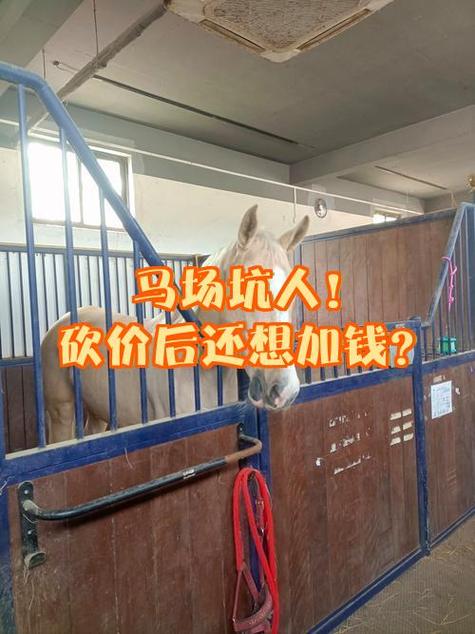 一个马场多少钱 一个马场多少钱