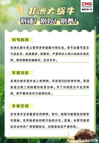 蜗牛的十大神奇功效