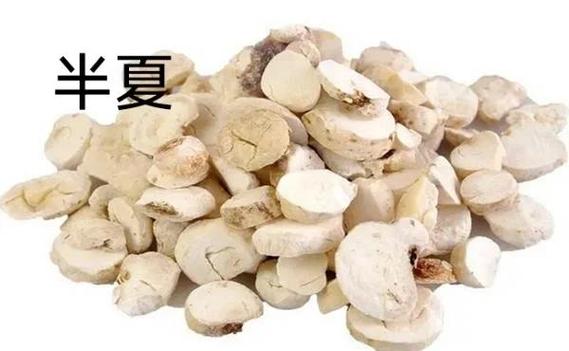 中药半夏泻心汤的功效与用量