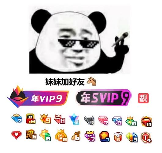 妹妹在一起玩不好吗怎么幽默回答永久vip截图1