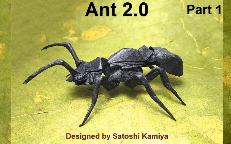 ant ent