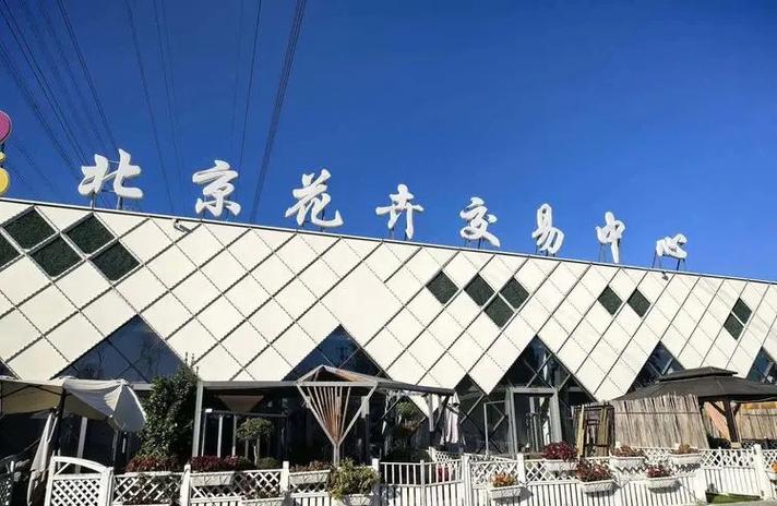 北京花卉