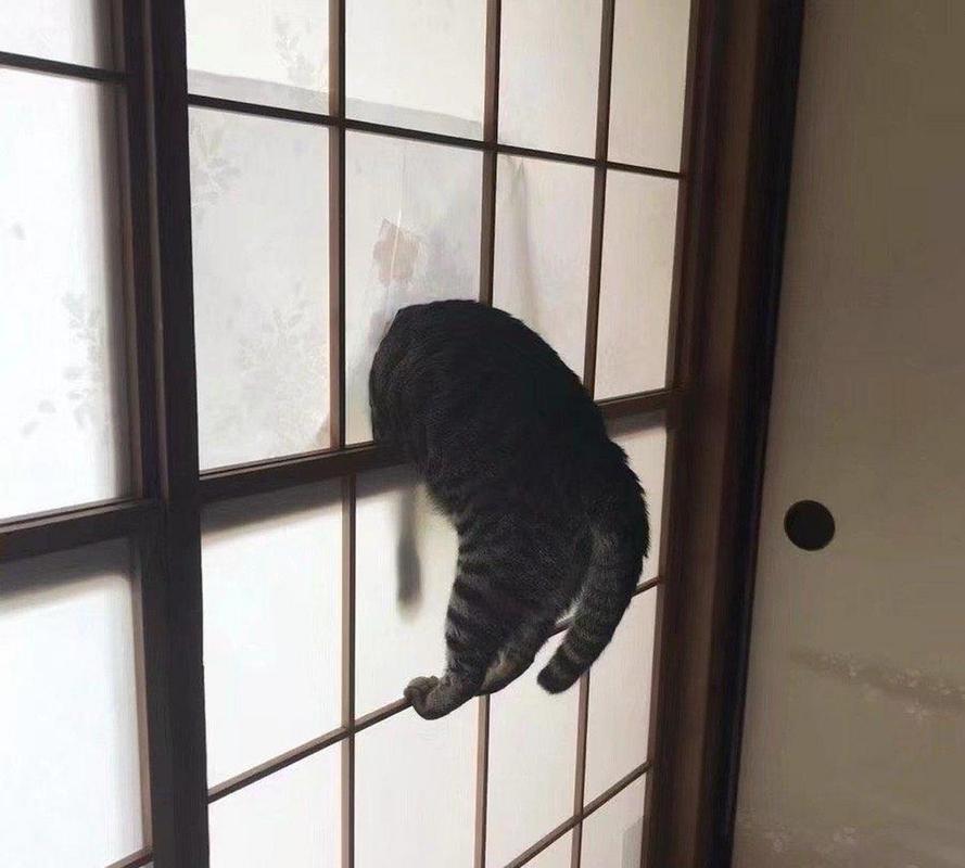 ipad第一次激活卡住了怎么办