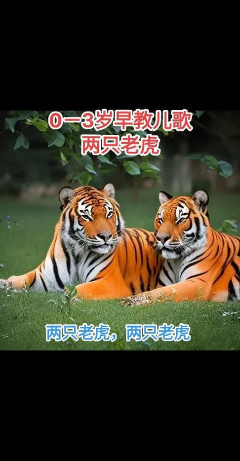 播放儿歌两只老虎