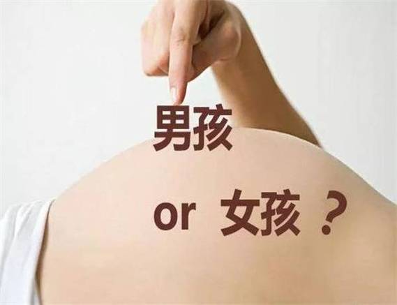 萌宝是男孩还是女孩
