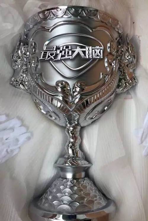 最强大脑脑王奖金多少