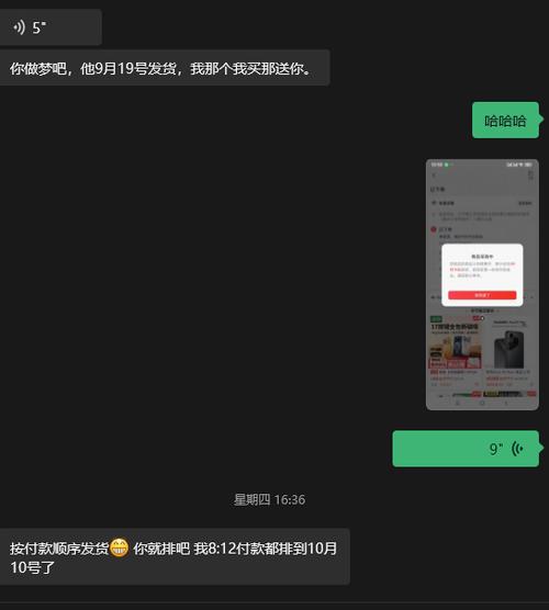 苹果第三方安装软件变成黑色
