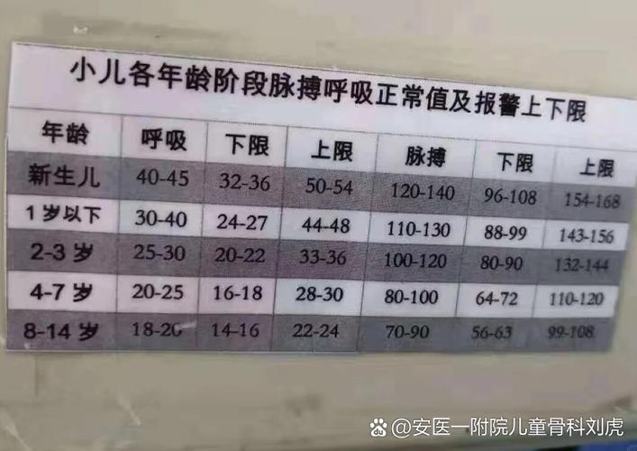 正确的数宝宝呼吸次数