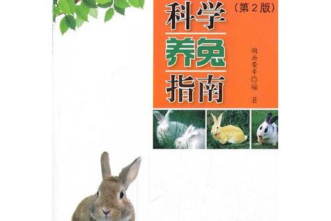 兔子养几只比较好
