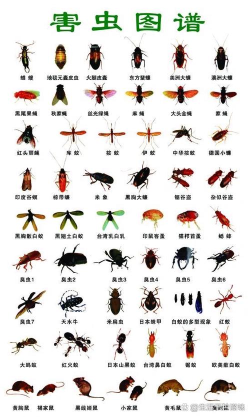 害虫大全