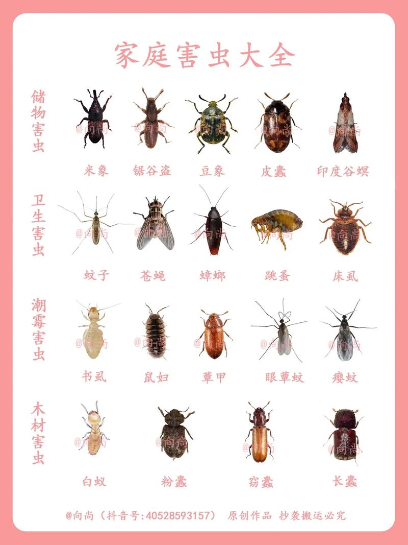 害虫大全截图3