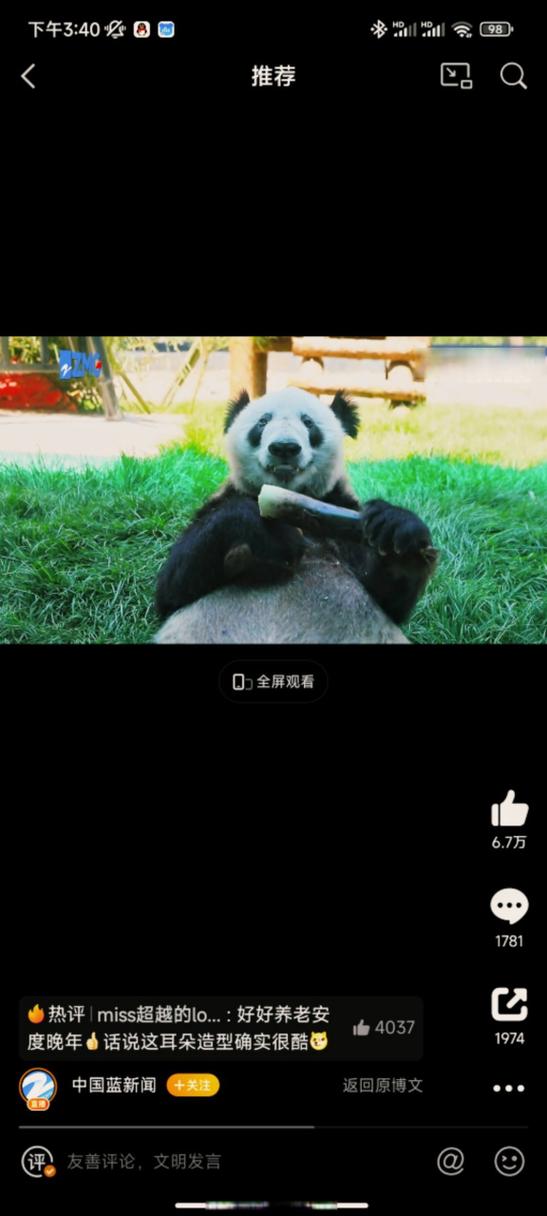 熊猫丫丫北动更新