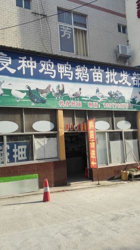 附近有卖鹅苗的吗