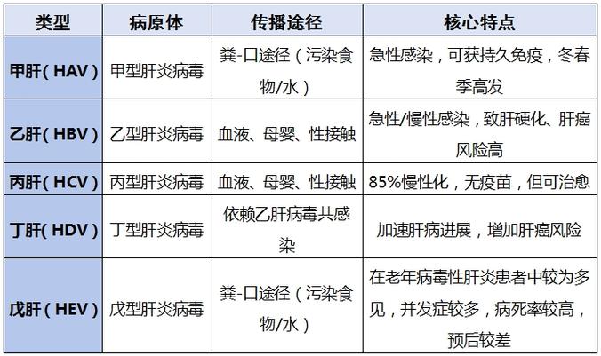 病毒等级排名表