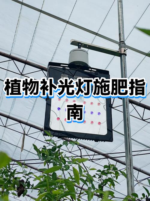 植物补光灯怎么用