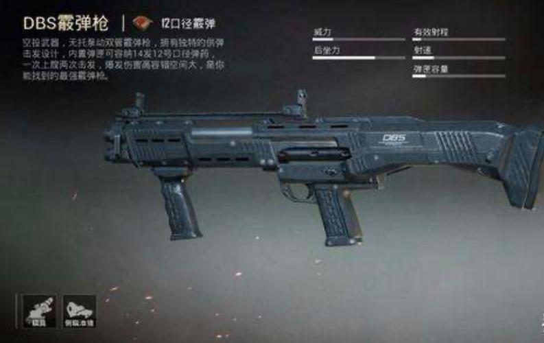 dbs霰弹枪好用吗