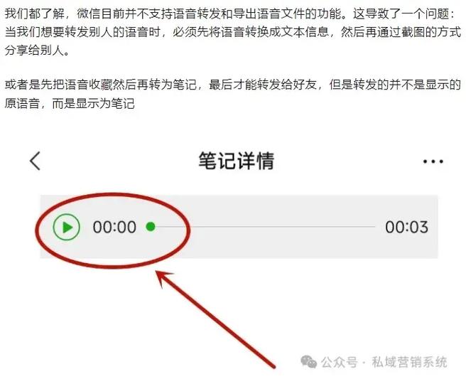 把别人的语音怎么转发另一个人