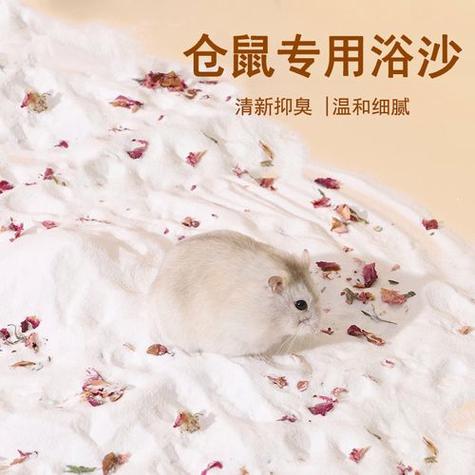 卖仓鼠的地方在哪里