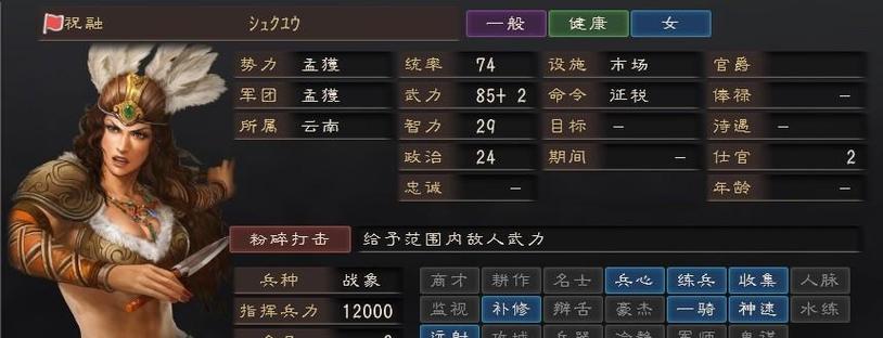 三国志12战法组合