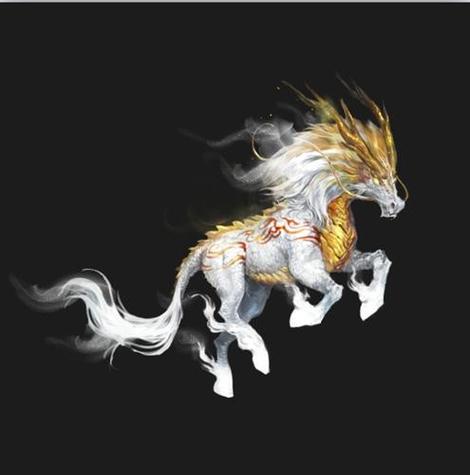 龙马网络