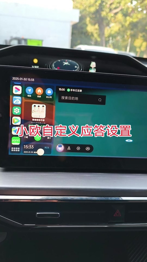 犀牛语音车机版