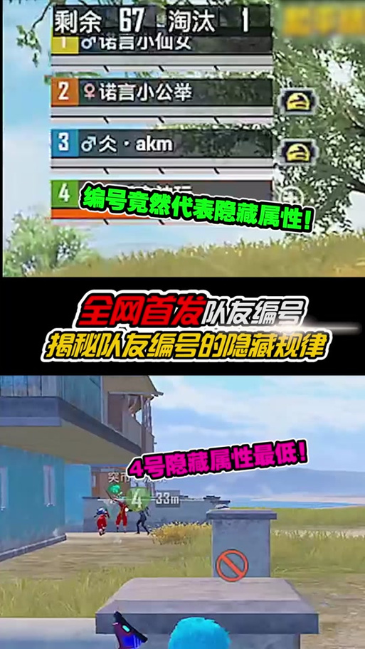 和平精英括号内的昵称