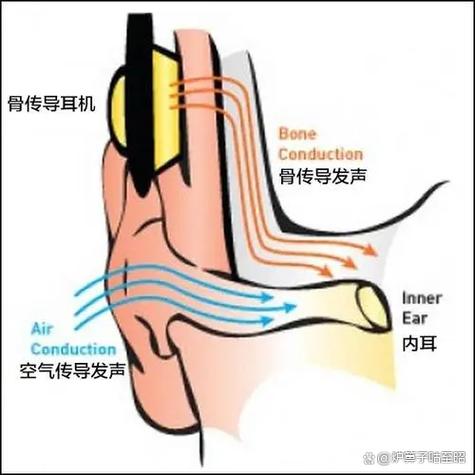 短耳机怎么戴