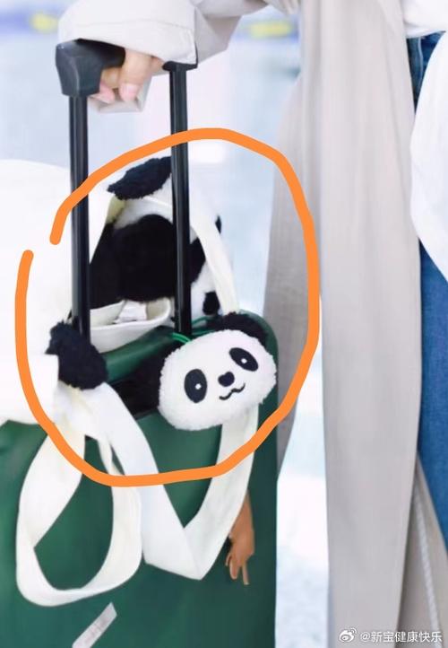 熊猫团团购