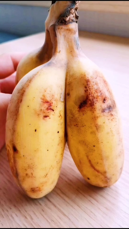 小米蕉变成了宝宝