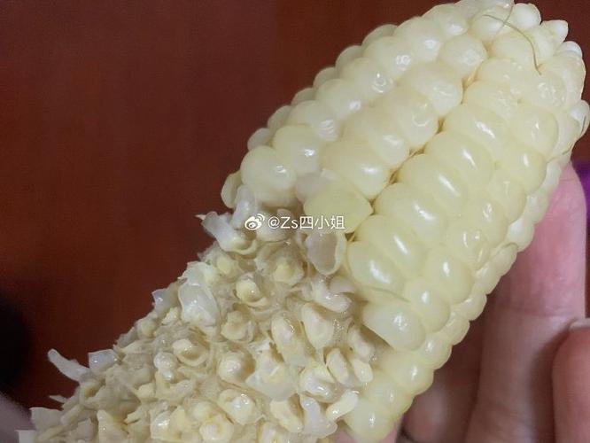 吃两根玉米
